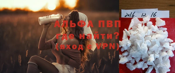 сатива Козловка